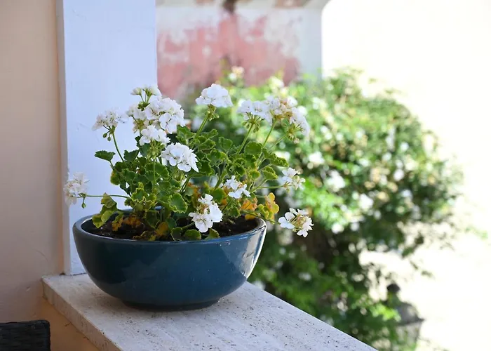 Don Raffaè - Luxury Forio di Ischia